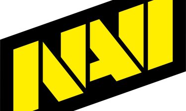 NaVi logo